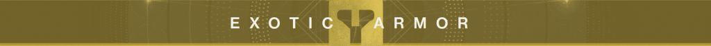 Exotic Armor Banner