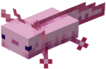 Axolotl in Minecraft Patch 1.17