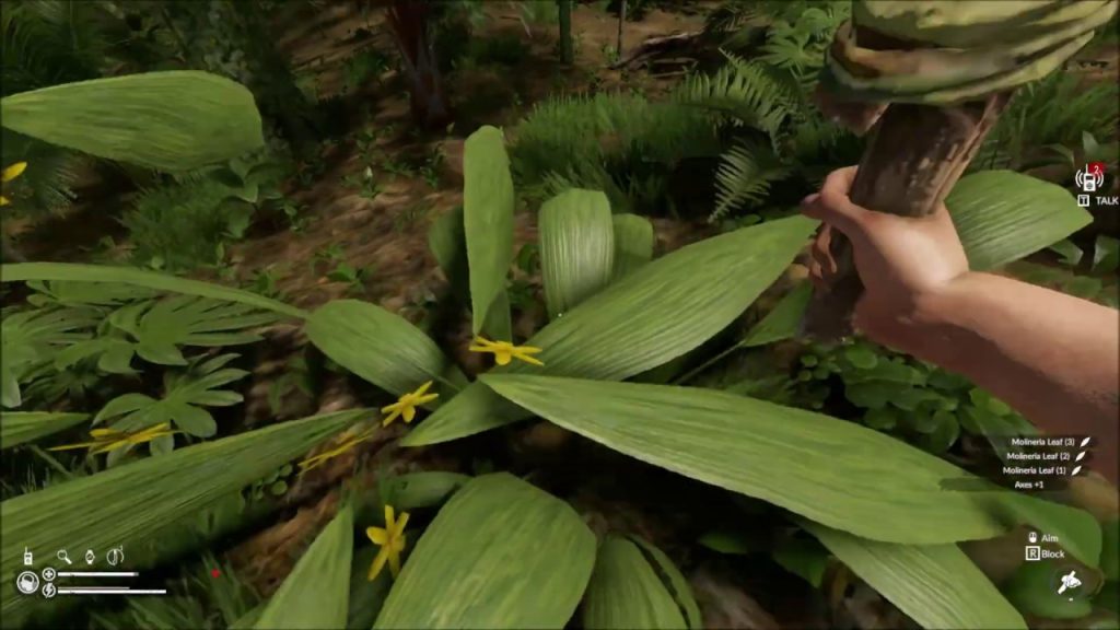 Screenshot of Molineria plant in Green Hell, used to remove worms. Has medium-sized green leaves with yellow flowers at its base.