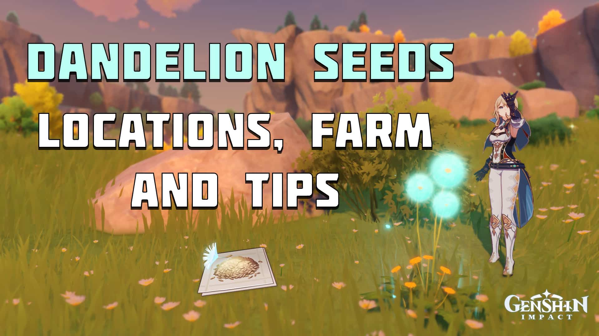 Dandelion Seeds Guide