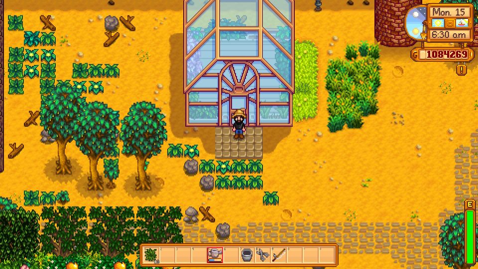 Stardew Valley How to Build the Perfect Greenhouse Layout