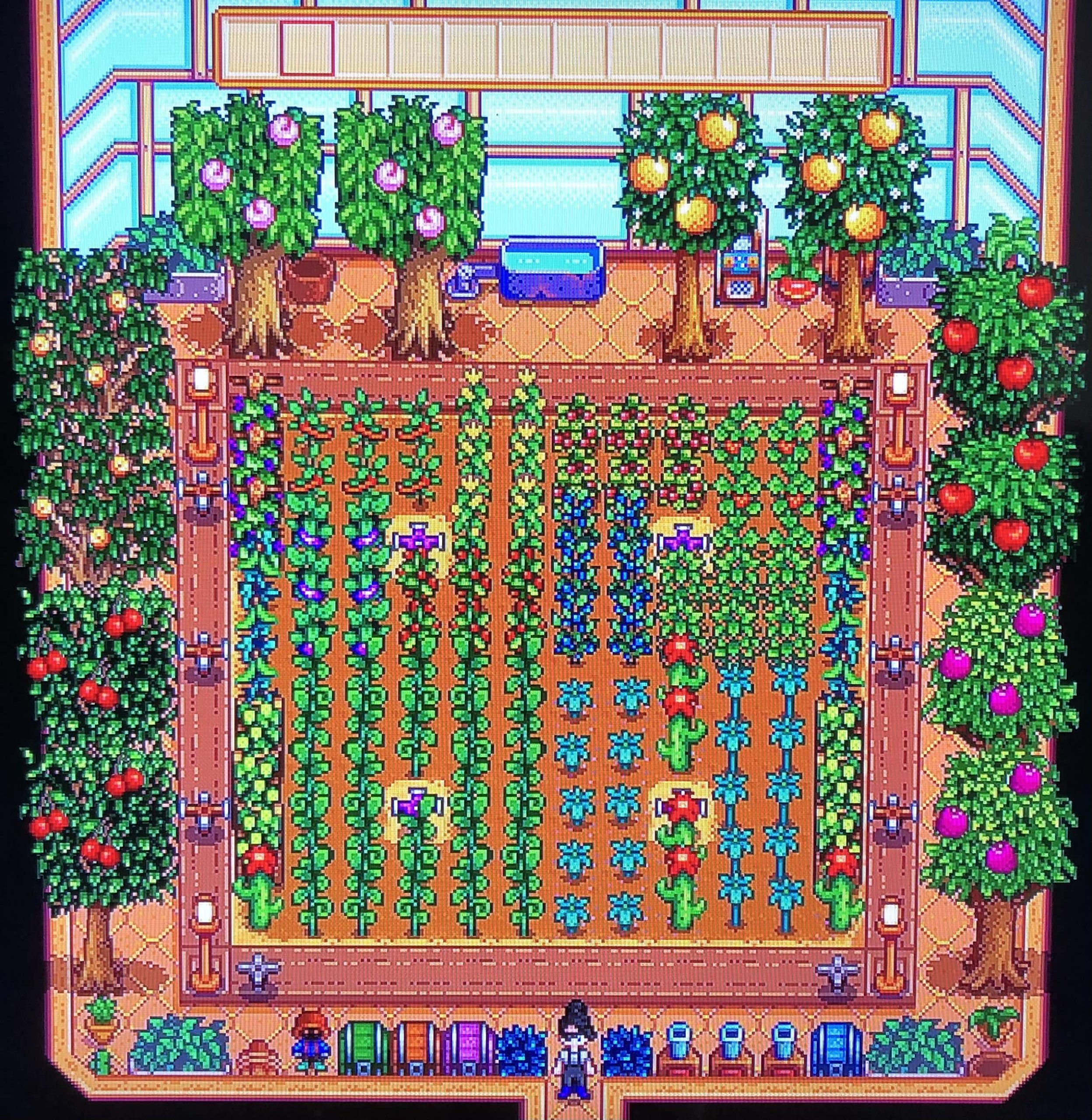stardew valley greenhouse layout
