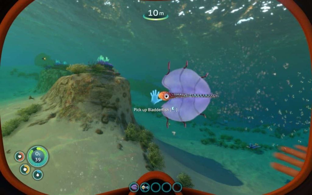 Bladderfish in Subnautica that can gives you water when eaten