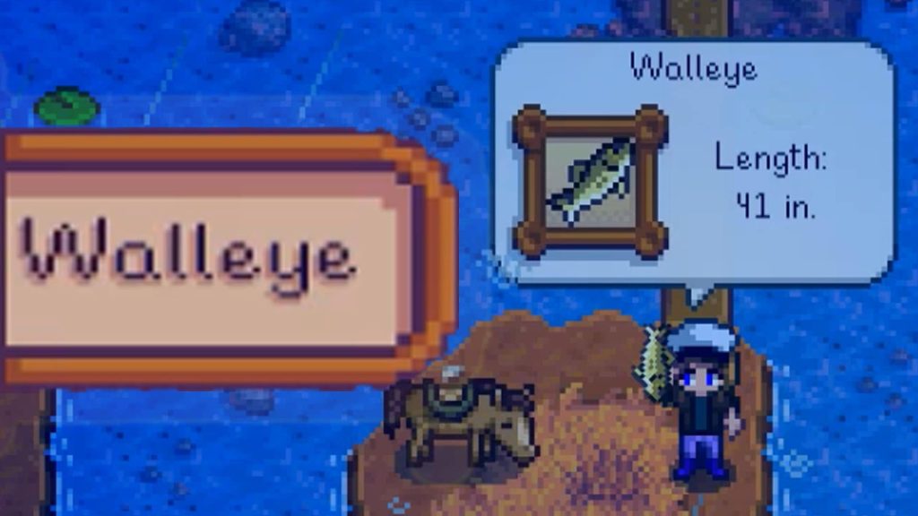 How to catch walleye in Stardew Valley