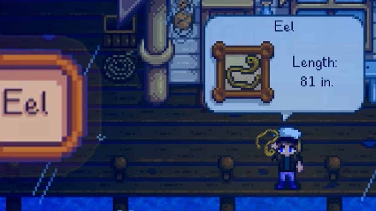 where to catch eel in stardew valley