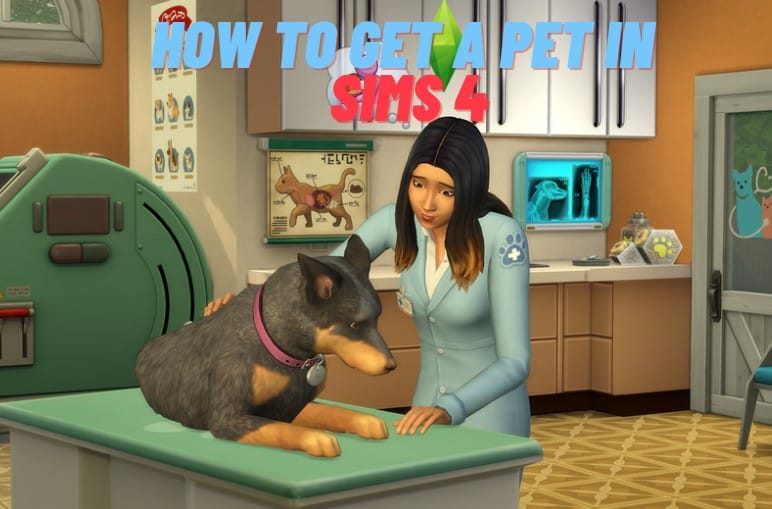 how to get a pet in Sims 4