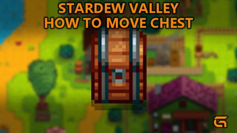 Stardew Valley How To Move Chest