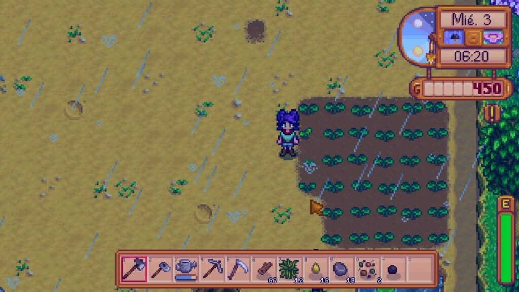 After using Rain Totem, Stardew Valley