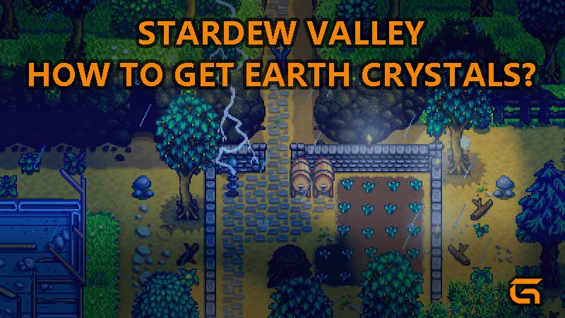 Stardew Valley Earth Crystal - How To Get Rare Mineral?