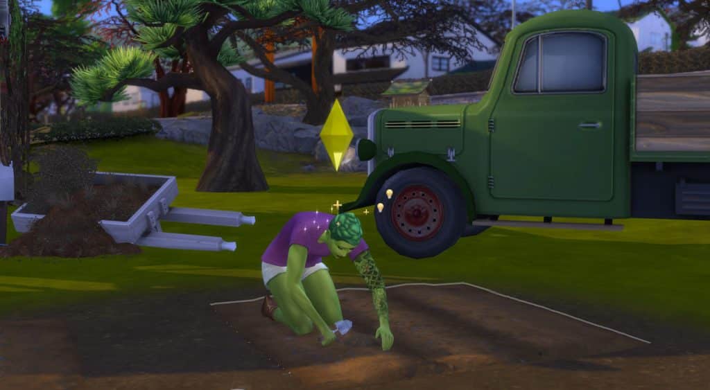 Plant Sim planting seeds in garden.