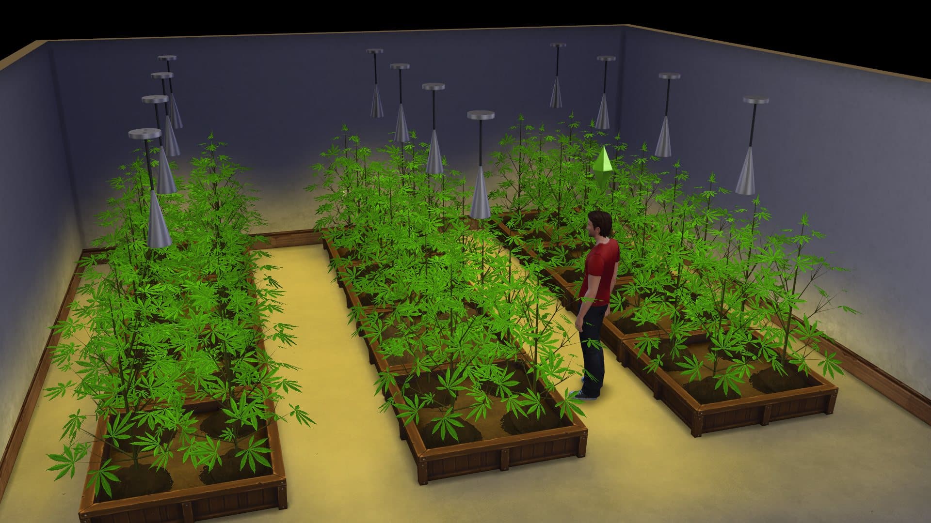 A large plantation of cannabis in The Sims 4