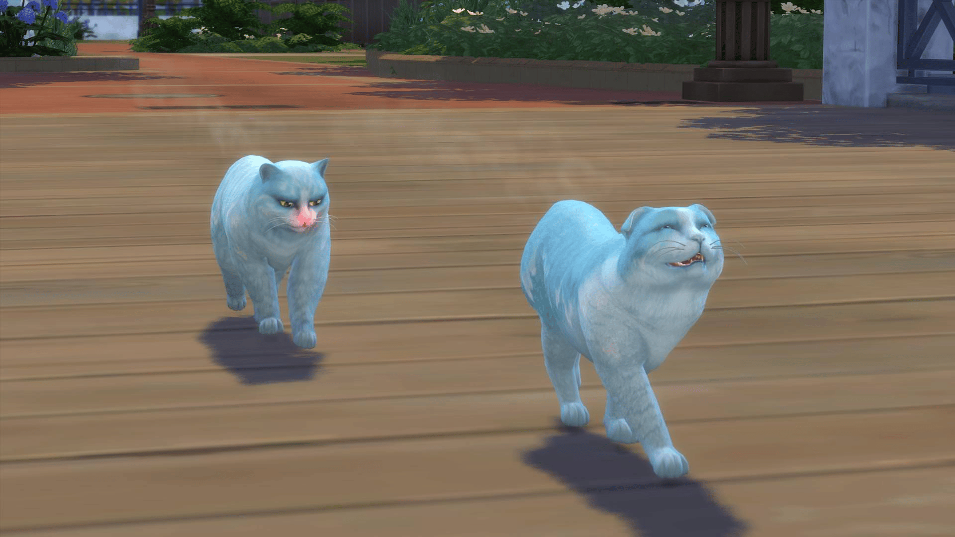 Some stray cats in The Sims 4