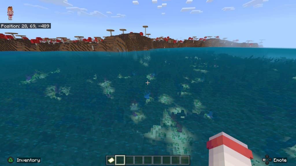 A Mushroom biome and a coral reef