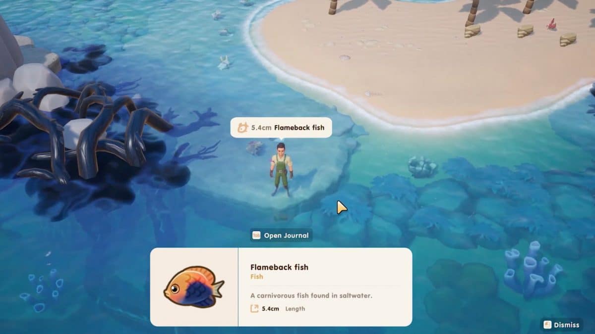 How to Fish in Coral Island