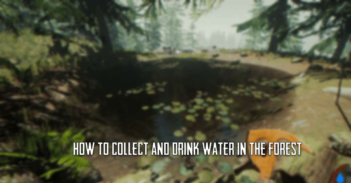 How to Collect and Drink Water in The Forest
