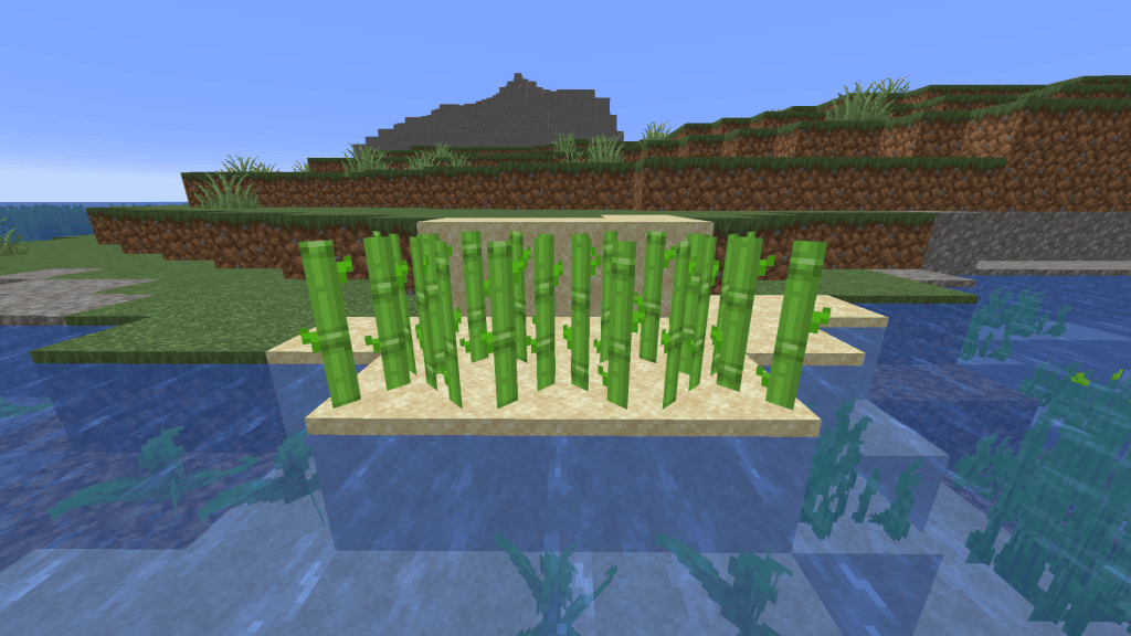 Growing Sugar Cane on Sand in Minecraft
