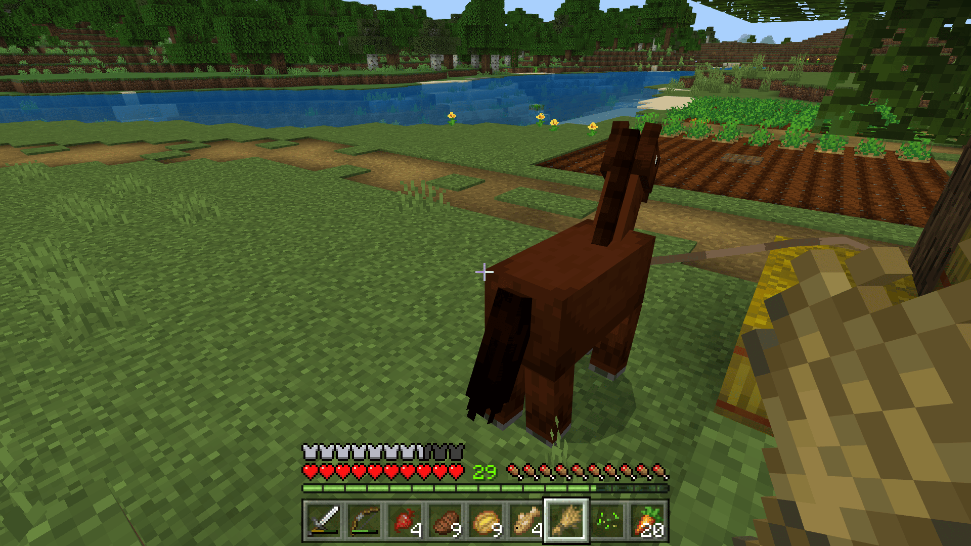 How To Heal a Horse In Minecraft?