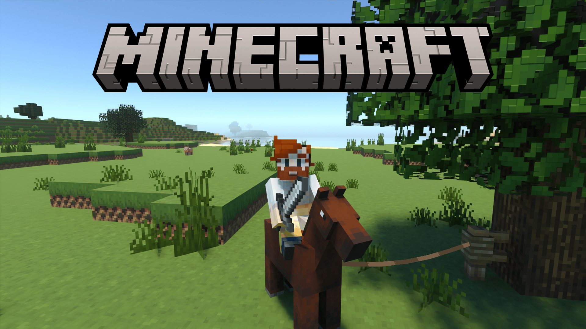 Screenshot of player on Minecraft horse