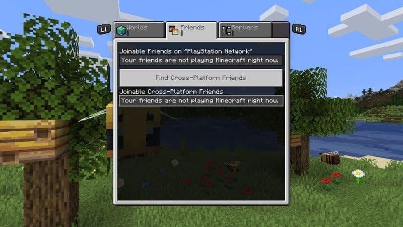 PlayStation Minecraft friends list